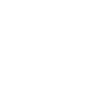 managed service consultancy icon